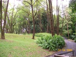 The Peak (D5), Condominium #489147741